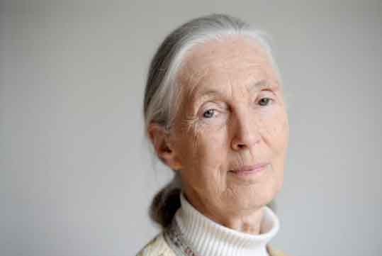 United Kingdom Jane Goodall